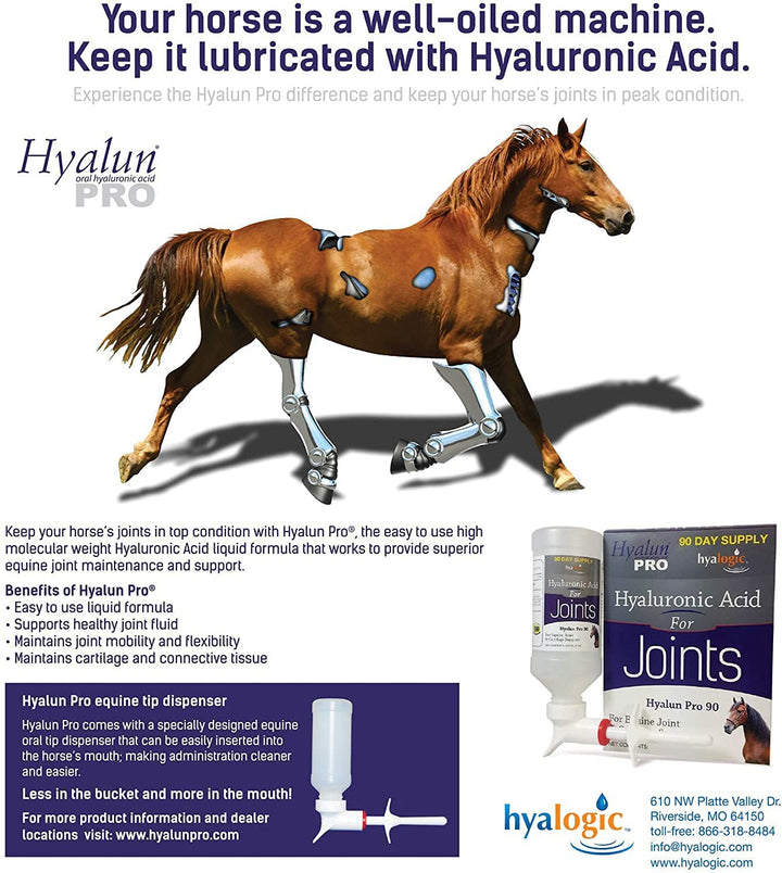 Hyalogic Hyaluronic Acid for Horses Hyalun Pro 30 & 90